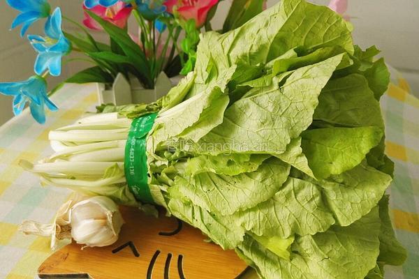 清炒芙蓉菜的做法图解1
