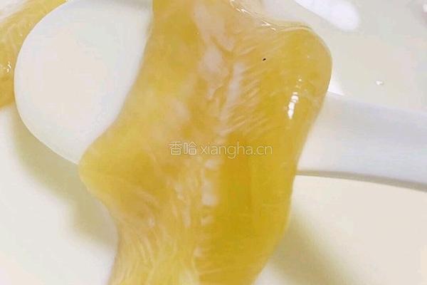 牛奶花胶冻的做法图解3