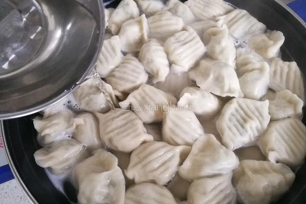 鲅鱼饺子的做法图解38