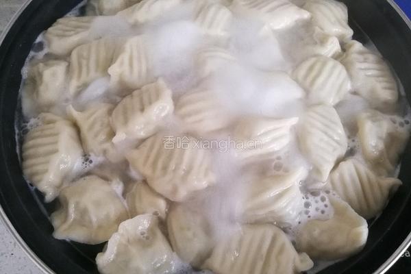 鲅鱼饺子的做法图解39