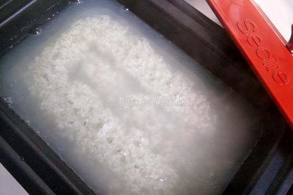 皮蛋瘦肉粥的做法图解8
