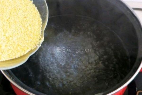 健康绿色 黄金小米粥的做法图解2