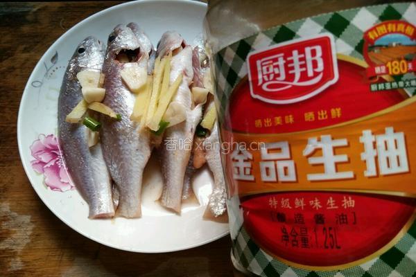 清蒸加芒鱼的做法图解7