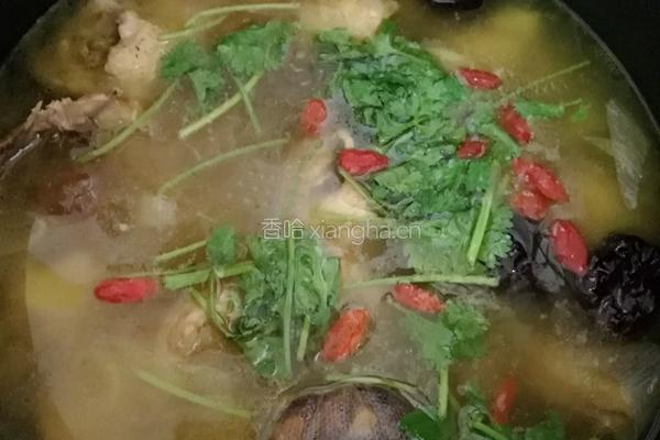 高压锅炖鸡的做法图解7