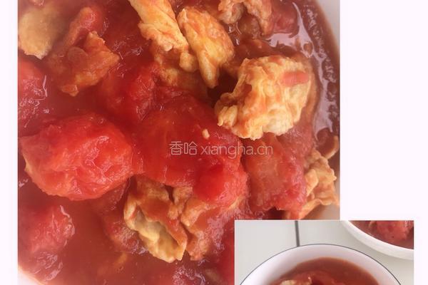 西红柿炒鸡蛋（番茄炒蛋）的做法图解5