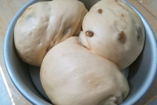 葡萄干手撕面包的做法图解15