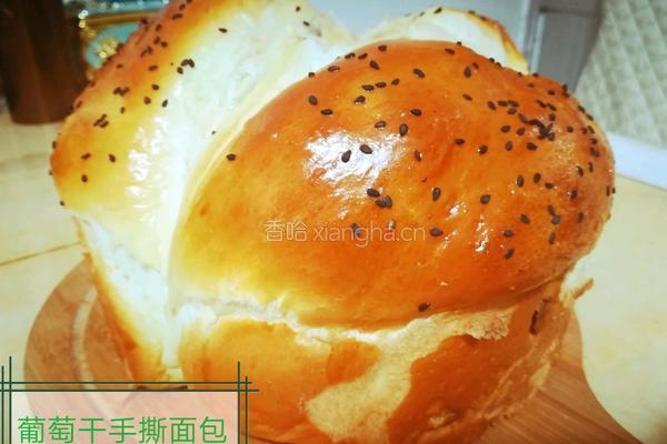 葡萄干手撕面包的做法图解20