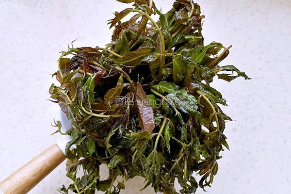 香椿肉酱拌面的做法图解2