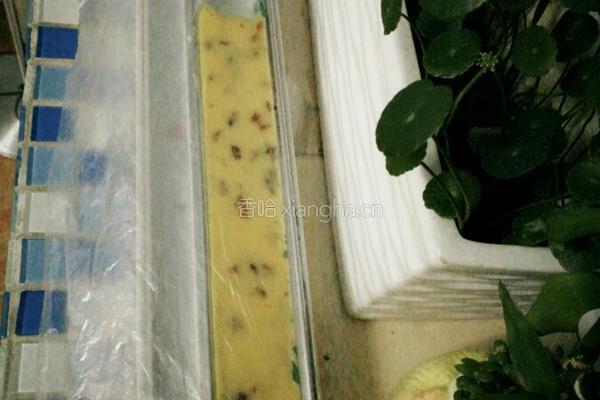 葡萄干饼干的做法图解7