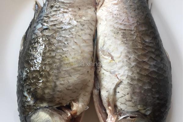 鲫鱼炖豆腐粉条的做法图解1