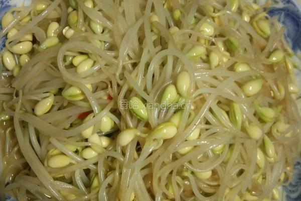 清炒豆芽的做法图解5