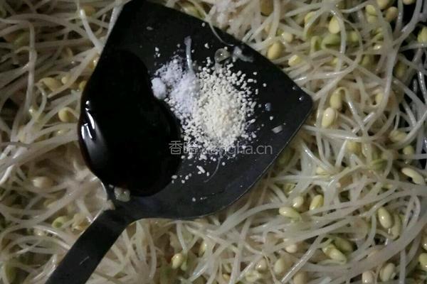 清炒豆芽的做法图解3