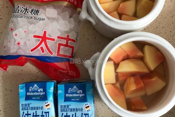 木瓜炖牛奶的做法图解2