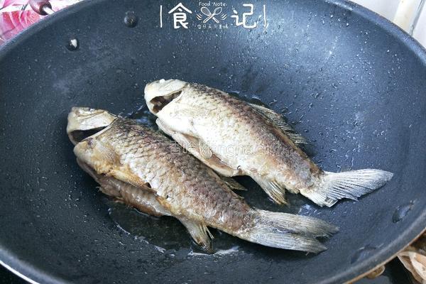 鲫鱼炖豆腐的做法图解4