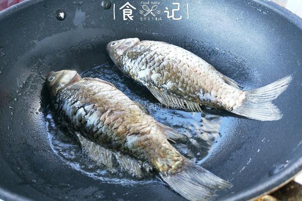 鲫鱼炖豆腐的做法图解3