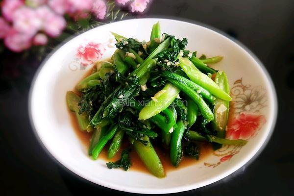 耗油菜苔的做法图解12