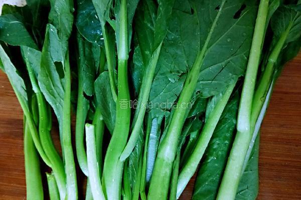 耗油菜苔的做法图解1
