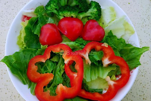 香煎鸡胸肉(轻食减脂）的做法图解27