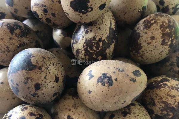 卤鹌鹑蛋的做法图解7