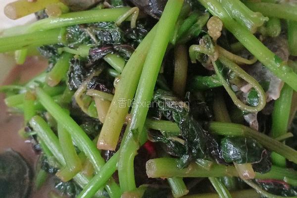 皮蛋炒恒菜的做法图解7