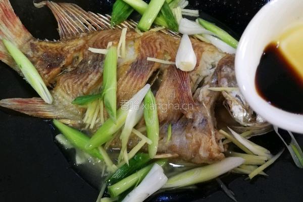 红烧鱼的做法图解10