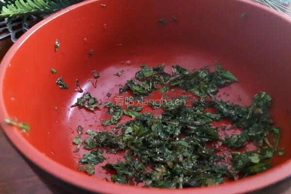 薄荷肉片的做法图解4