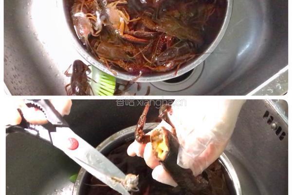 川式蒜香小龙虾的做法图解10