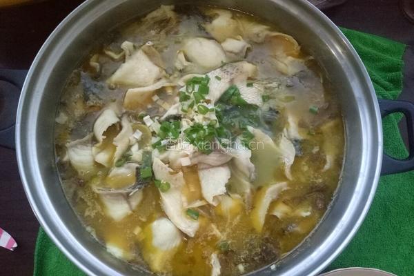 家常酸菜鱼的做法图解4