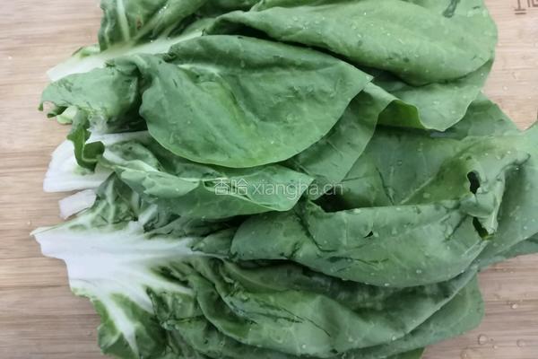 甜菜蚕豆的做法图解2