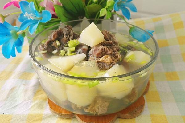 土豆牛骨汤的做法图解12