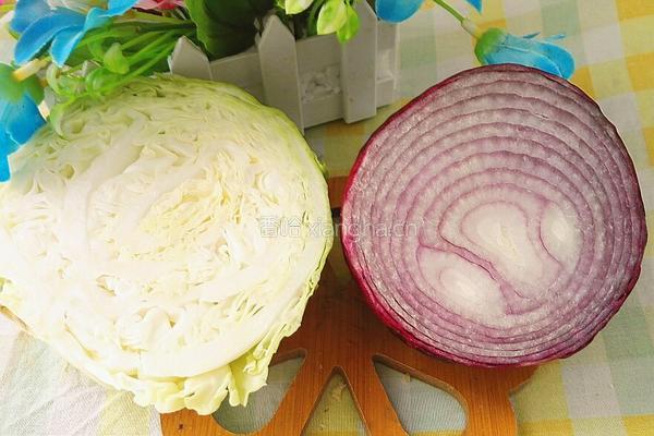 洋葱炒莲花白的做法图解1