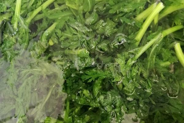 腐竹拌茼蒿的做法图解6