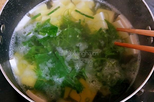 龙须菜豆腐汤的做法图解8