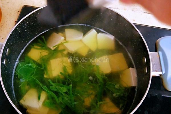 龙须菜豆腐汤的做法图解11