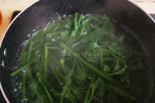凉拌龙须菜的做法图解7