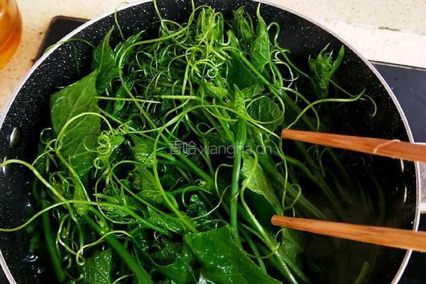 凉拌龙须菜的做法图解8