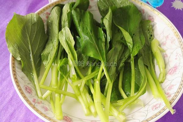 清汤牛肉抄手的做法图解11