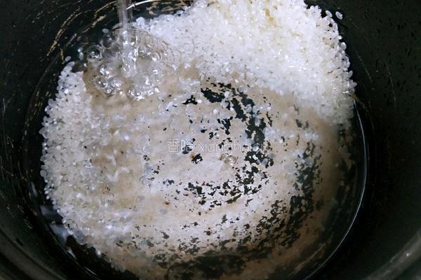 谷物牛奶米粥的做法图解2