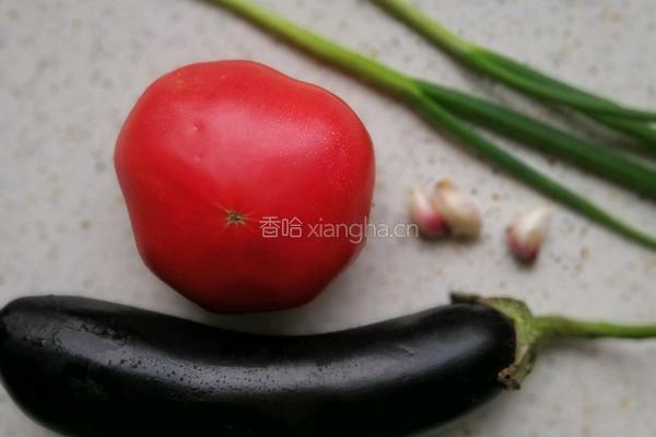 西红柿烧茄子的做法图解1