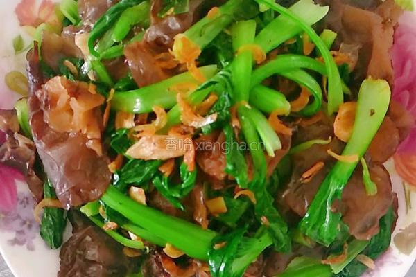 当油菜木耳遇上虾皮的做法图解5