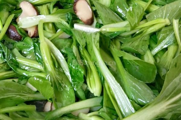 香菇炒油菜的做法图解6