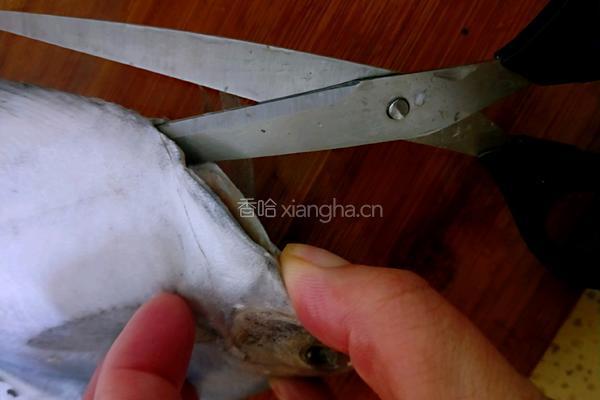 清蒸鲳鱼的做法图解2