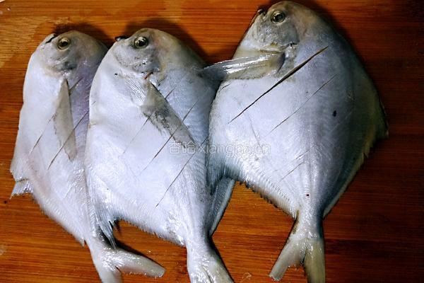 香煎鲳鱼的做法图解5