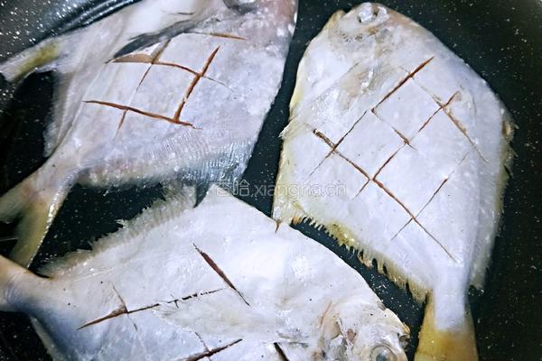 香煎鲳鱼的做法图解22