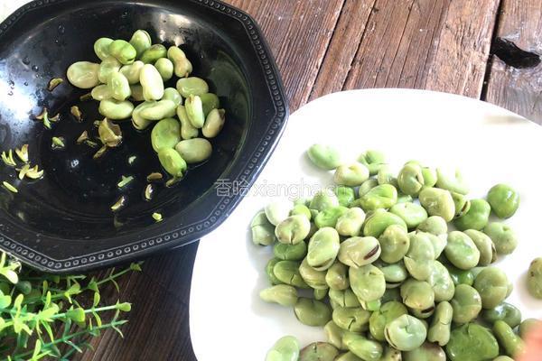 剁椒蚕豆的做法图解2