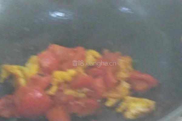 西红柿炒鸡蛋的做法图解13