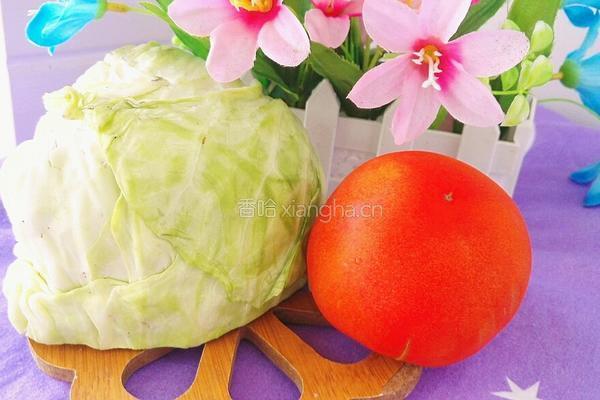 番茄炒莲花白的做法图解1
