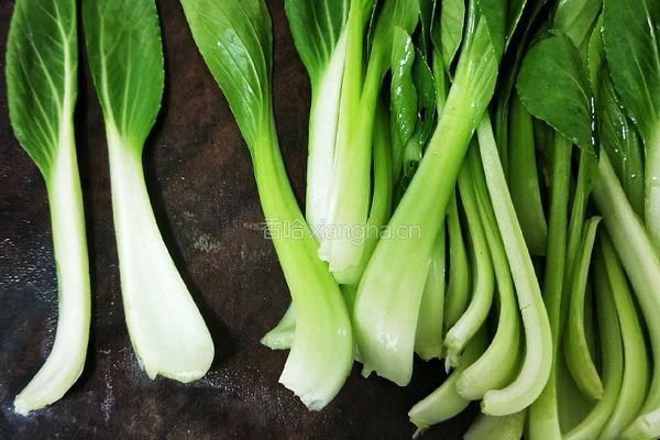 白玉菇炒青菜的做法图解3