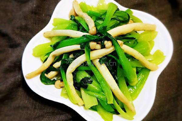 白玉菇炒青菜的做法图解12