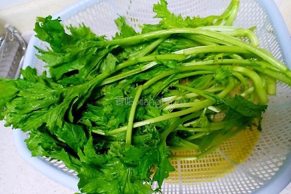 白灼茼蒿的做法图解1